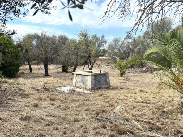 antica villa con giardino in vendita zona mare isola siracusa sicilia