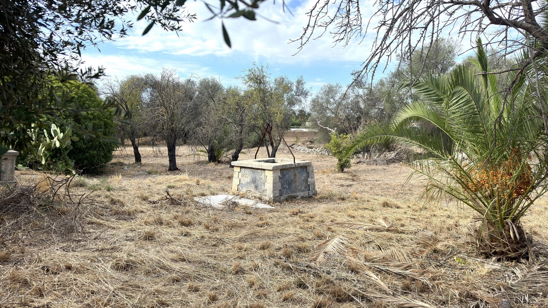 antica villa con giardino in vendita zona mare isola siracusa sicilia