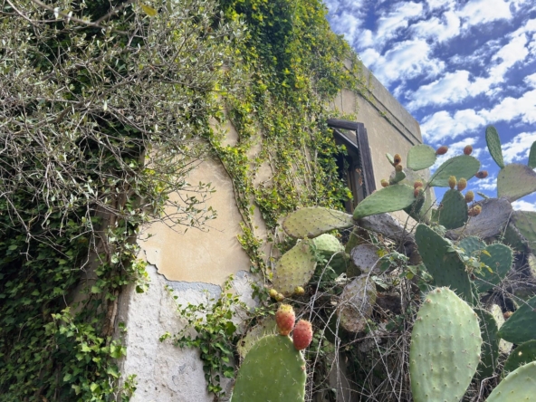 antica villa con giardino in vendita zona mare isola siracusa sicilia