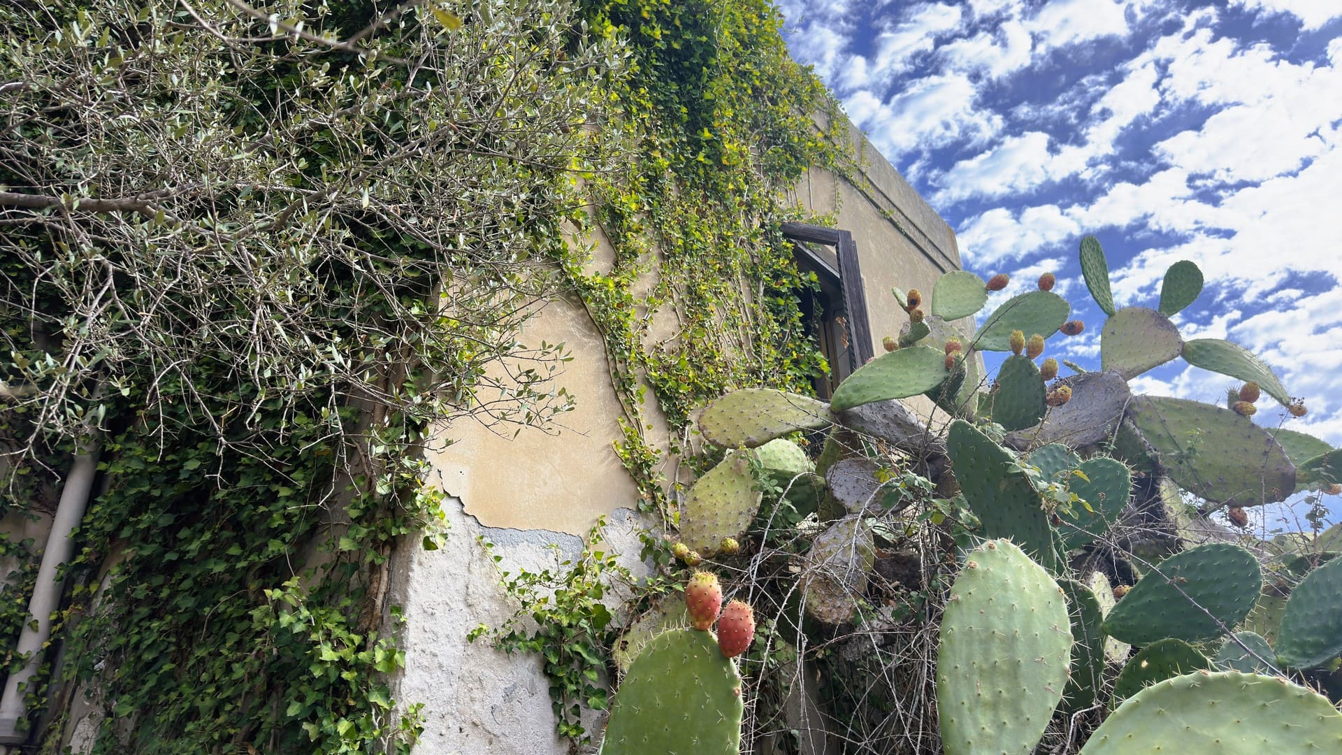 antica villa con giardino in vendita zona mare isola siracusa sicilia