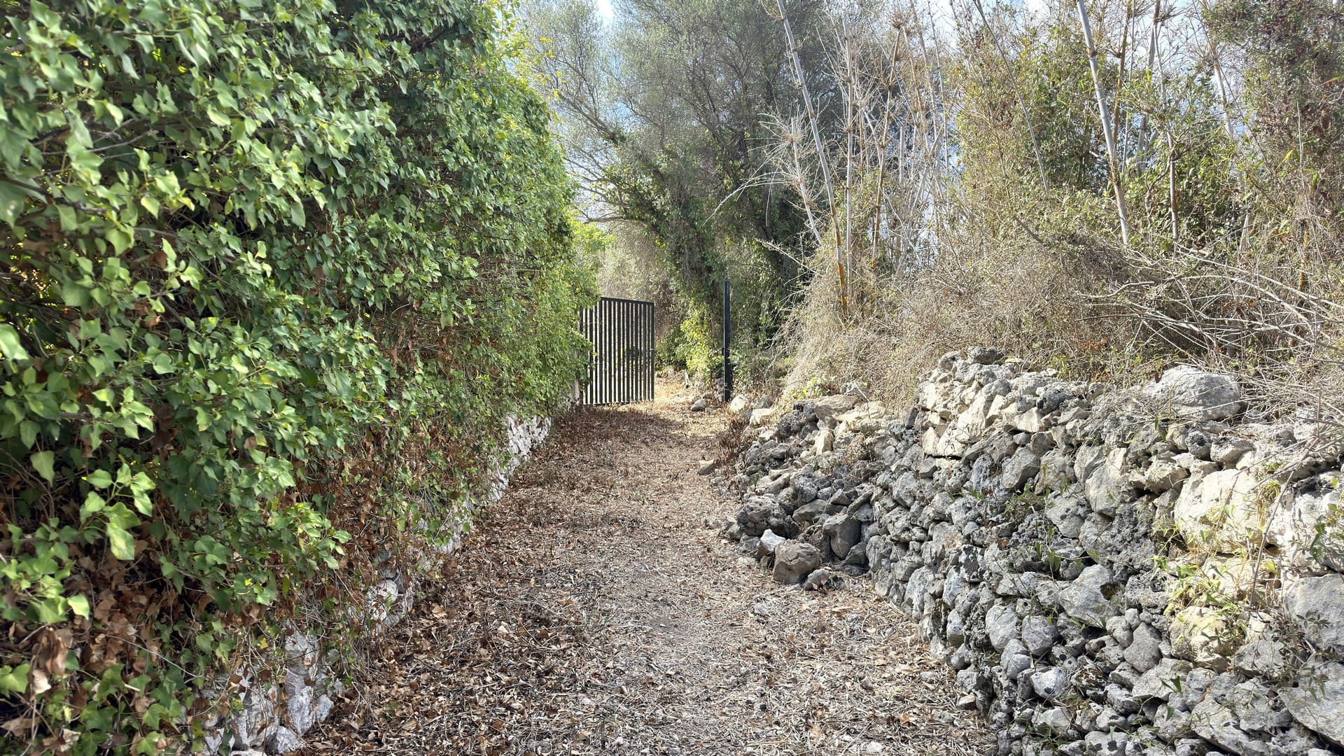 antica villa con giardino in vendita zona mare isola siracusa sicilia