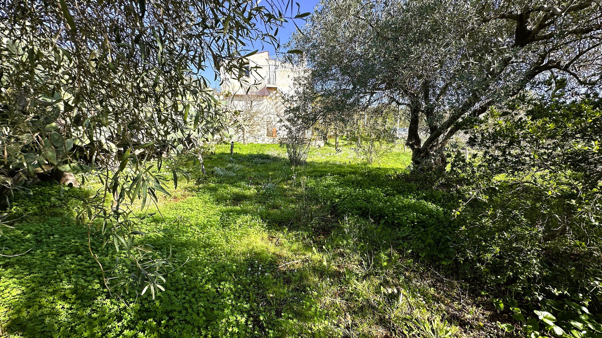 casa con terreno in vendita a siracusa sicilia