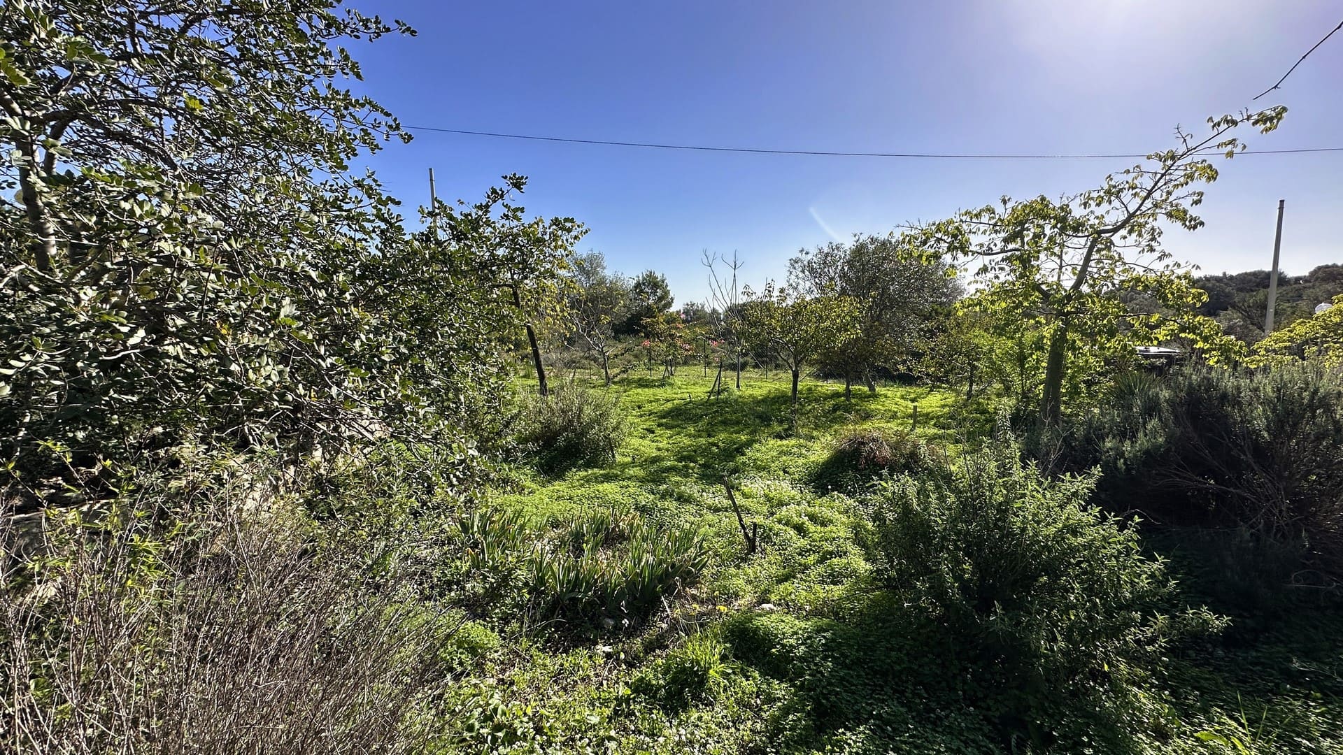 casa con terreno in vendita a siracusa sicilia