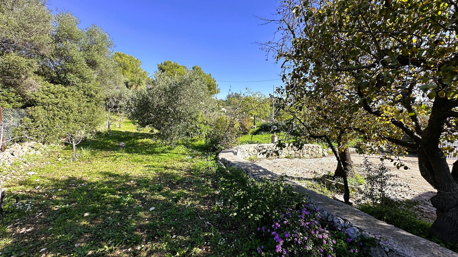 casa con terreno in vendita a siracusa sicilia